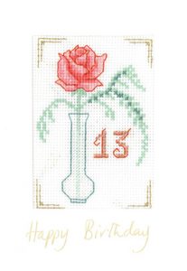 Pink Fizz Age Birthday card cross stitch kit